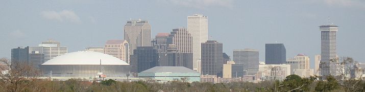New Orleans Skyline from Uptown