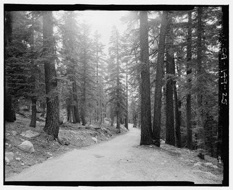 OLD TIOGA ROAD VIEW, NOW MAY LAKE ROAD. LOOKING SW. GIS- N-37 49 16.8 - W-119 30 13.3 - Tioga Road, Between Crane Flat and Tioga Pass, Yosemite Village, Mariposa County, CA HAER CAL,22-YOSEM,6-25.tif
