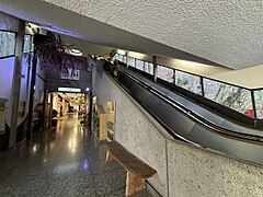 Ontario Science Centre Level 6 Forest Lane 2023