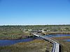 Pensacola FL Big Lagoon SP from obs tower06.jpg