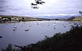 Percuil River - geograph.org.uk - 476588