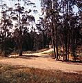 Peters Canyon Road, April 1966