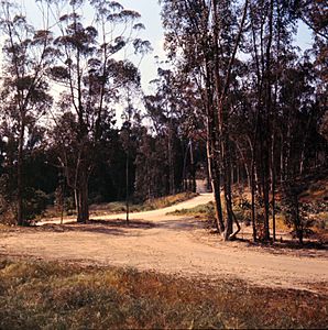 Peters Canyon Road, April 1966