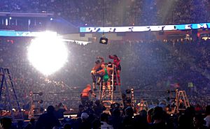 Professional wrestling ladder match