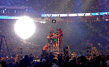 Professional wrestling ladder match