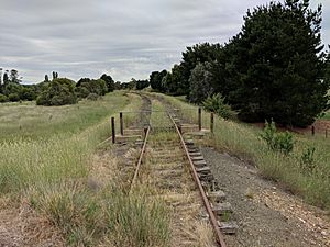 Railway at Hoskinstown, New South Wales