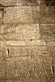 Ramesseum siege of Dapur