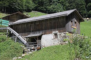 Sawmill Mühletal 642b Innertkirchen Aug 2011