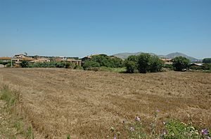 Serra de Daró with the Montgrí Massif in the background.