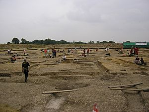 Silchester Excavation