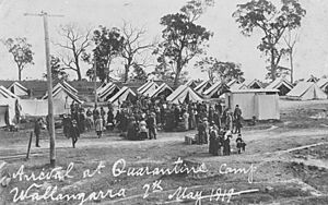StateLibQld 1 110768 Influenza quarantine camp set up at Wallangarra, 1919