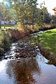 Stony Run looking upstream