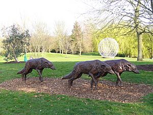 Surrey University Geograph-1216088-by-Colin-Smith