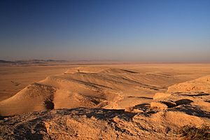 Syrian Desert (5079756828)