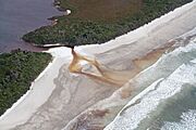 Tannin rich fresh water draining into Cox Bight from Freney Lagoon