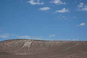 The Giant of Atacama