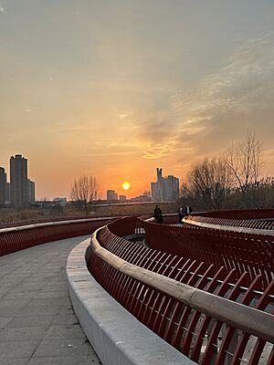 The plank road under the Daqing Road Bridge