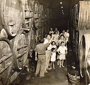 Tour of Zichron Yaakov winery - Israel - 1945