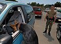 US Navy 070329-N-4965F-004 Military working dog, Arpi, a 5-year-old German Shepherd, locates hidden explosives inside of a car during a training