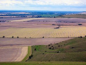 View West, Walkers Hill, Pewsey Downs - geograph.org.uk - 38373