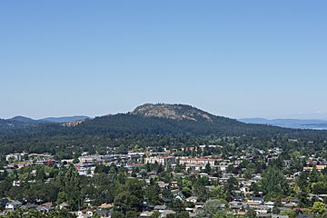 View of Mount Douglas from the south.jpg