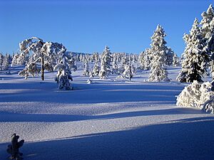 Vinter