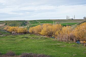 Whitstran-Snipes Creek Canyon