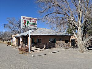 Willard Cantina & Cafe