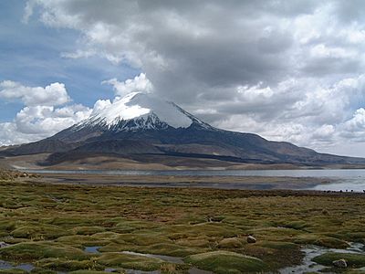 2005.11.12 09 Lago Chungará Chile