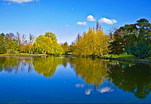 3 Beddington Park, London Borough of Sutton - Boating Lake.jpg