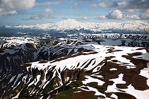 A056, Katmai National Park, Brooks Falls, Alaska, USA, mountains, 2002