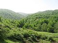 Around Balacheli - panoramio