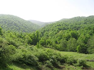 Around Balacheli - panoramio