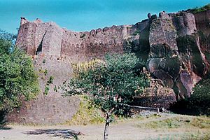 Asirgarh Fort1