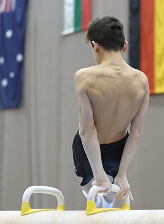 Austrian Future Cup 2018-11-23 Training Afternoon Pommel horse (Martin Rulsch) 321