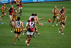 Ball is in dispute in Hawthorn-Essendon AFL match