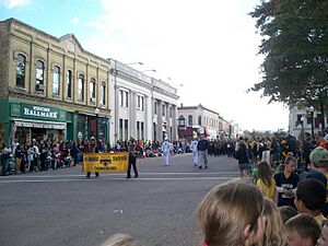 Downtown Baraboo (2010)