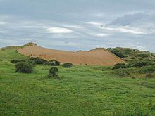 Braunton Burrows dune.jpg