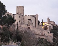 Castle-of-Castellet