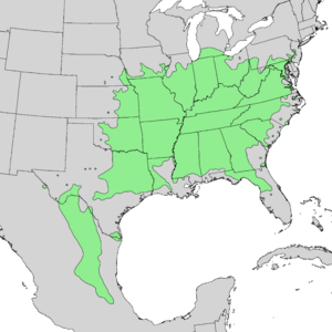 Cercis canadensis range map 2.png