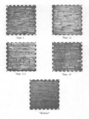 Chacoan Masonry types by Stephen H. Lekson
