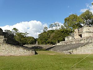 Copan (125) sm (4289308339)