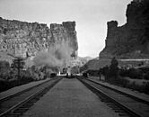 D&RGW Castle Gate steam train approaching