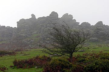 Dartmoor Hound Tor.jpg
