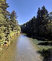 Dickey River upstream from Mora Road