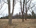 Ebenezer Finley House Site