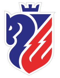 FC Botoșani logo.png