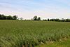 Field in Dorrance Township, Luzerne County, Pennsylvania.JPG