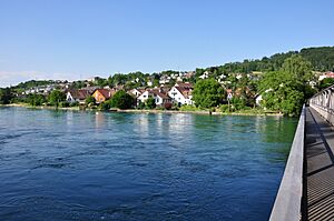 Flurlingen - Rhein - Neuhausen am Rheinfall 2010-06-24 18-15-52