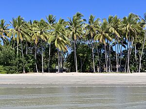 Four Mile Beach, Port Douglas, Queensland, 2020 04